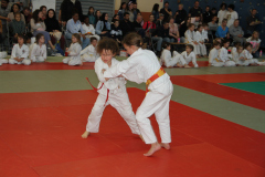 Judo-Open-de-Pamiers-2025-334