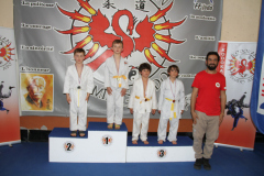 Judo-Open-de-Pamiers-2025-336