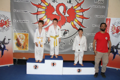Judo-Open-de-Pamiers-2025-337