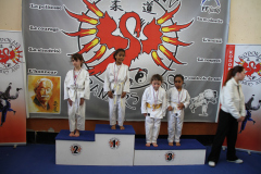 Judo-Open-de-Pamiers-2025-352