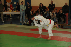 Judo-Open-de-Pamiers-2025-43