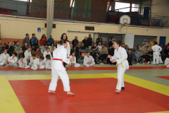 Judo-Open-de-Pamiers-2025-45