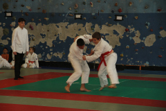 Judo-Open-de-Pamiers-2025-48