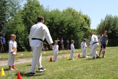 5ef4e422b91b3_IMG8018