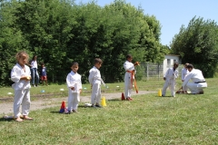 5ef5172f3b370_IMG8130