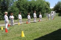 5ef520d9de146_IMG8164