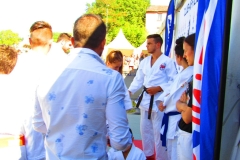 57dfcb1375690_IMG0614