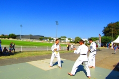 57dfccff3c79e_IMG0619