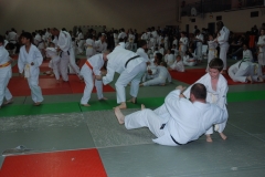 576475e0007e3_DSC9889