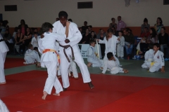 57647653adc5b_DSC9892