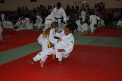 5764770e8d3d2_DSC9897