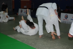 5764774438faf_DSC9898