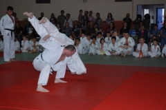 57647a19138c2_DSC9909