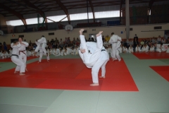 57647c40284c9_DSC9919