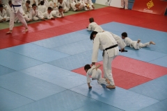 5948f4640edf5_IMG0657