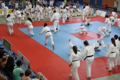 5948f92aa456e_IMG0674