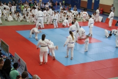 5948fa1475026_IMG0677
