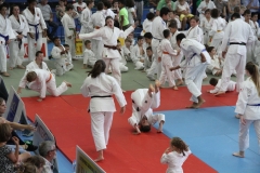 5948faa520847_IMG0679