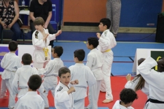 5948fd269bca8_IMG0692