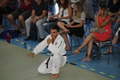 59490012376cc_IMG0700