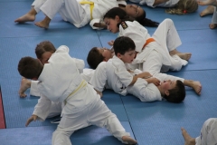 59490fc768ede_IMG0757