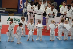 59491a0453692_IMG0790
