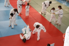5949249b3960e_IMG0827