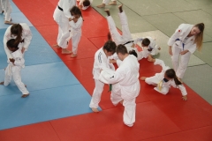 594924e2d588f_IMG0828
