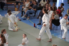 5949352694f58_IMG0884