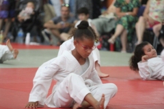 62dbd407cebc2_65