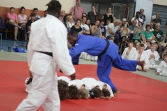 62dbd42950ac4_149