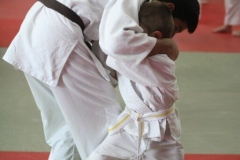62dbd48960b4c_412