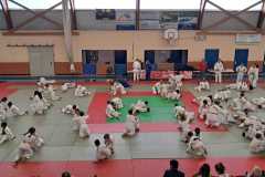 WhatsApp-Image-2025-06-14-a-16.52.01_877f73b2