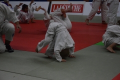 5a5561b673458_DSC0016