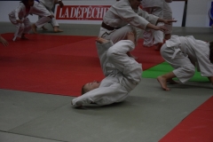 5a5562305d732_DSC0018