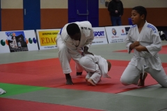 5a5564ac65f95_DSC0036