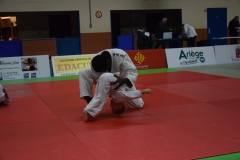 5a5565207b9be_DSC0037