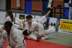 5a556706741f2_DSC0050