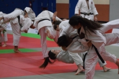 5a556eac368e9_DSC0095