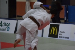 5a55700494840_DSC0098
