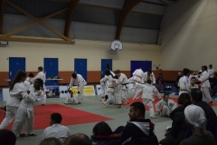 5a5692afe62aa_DSC0127