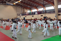 IMG_20240615_174111