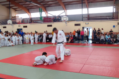 IMG_20240615_174917