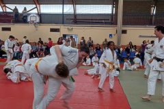 IMG_20240615_184142
