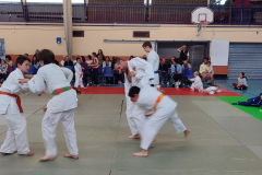 IMG_20240615_184451