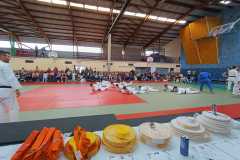 WhatsApp-Image-2024-06-15-a-19.11.18_2e8b1c2e