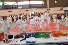 WhatsApp-Image-2024-06-15-a-19.11.20_5ded8d40