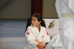 5832e6424a6cd_IMG8217