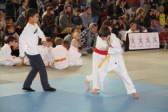 5832e97e94167_IMG8282