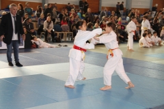 5832ea0c40f08_IMG8288